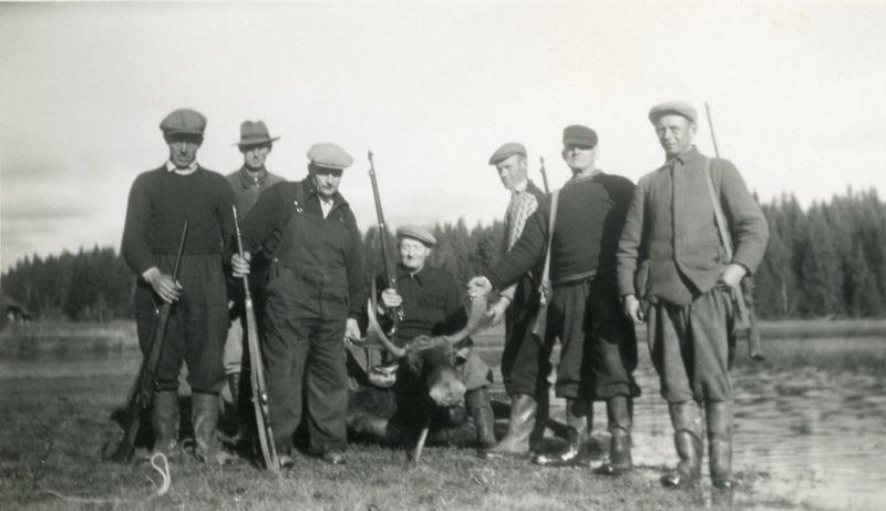 Elgen på Herredshuset